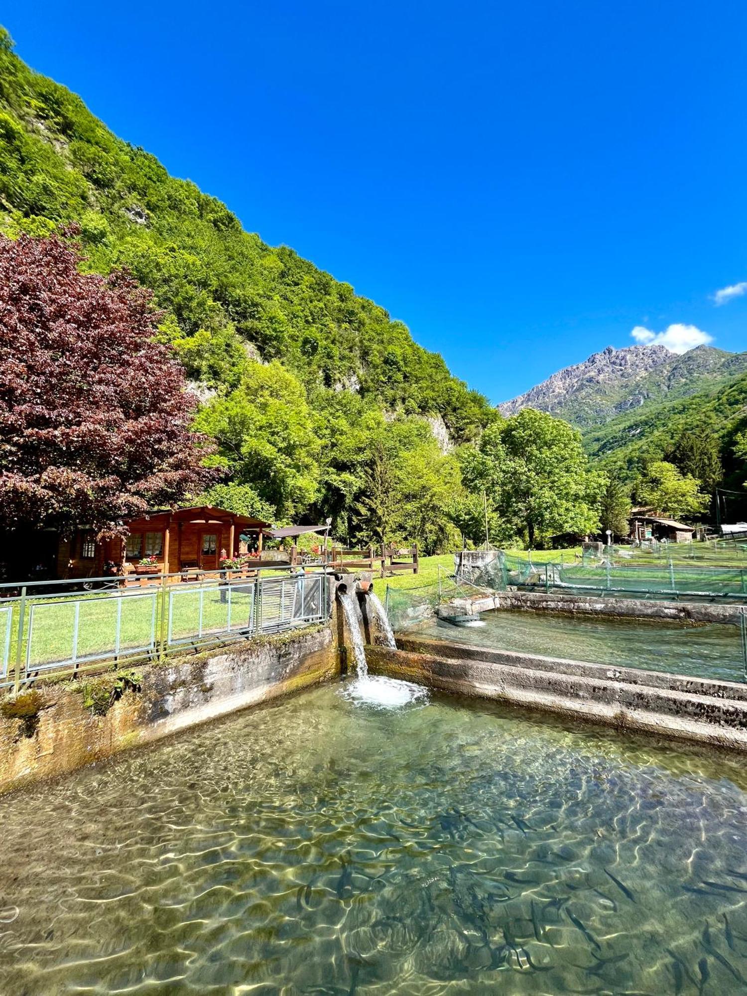 Agriturismo La Vecchia Chioderia Grandola ed Uniti Dış mekan fotoğraf