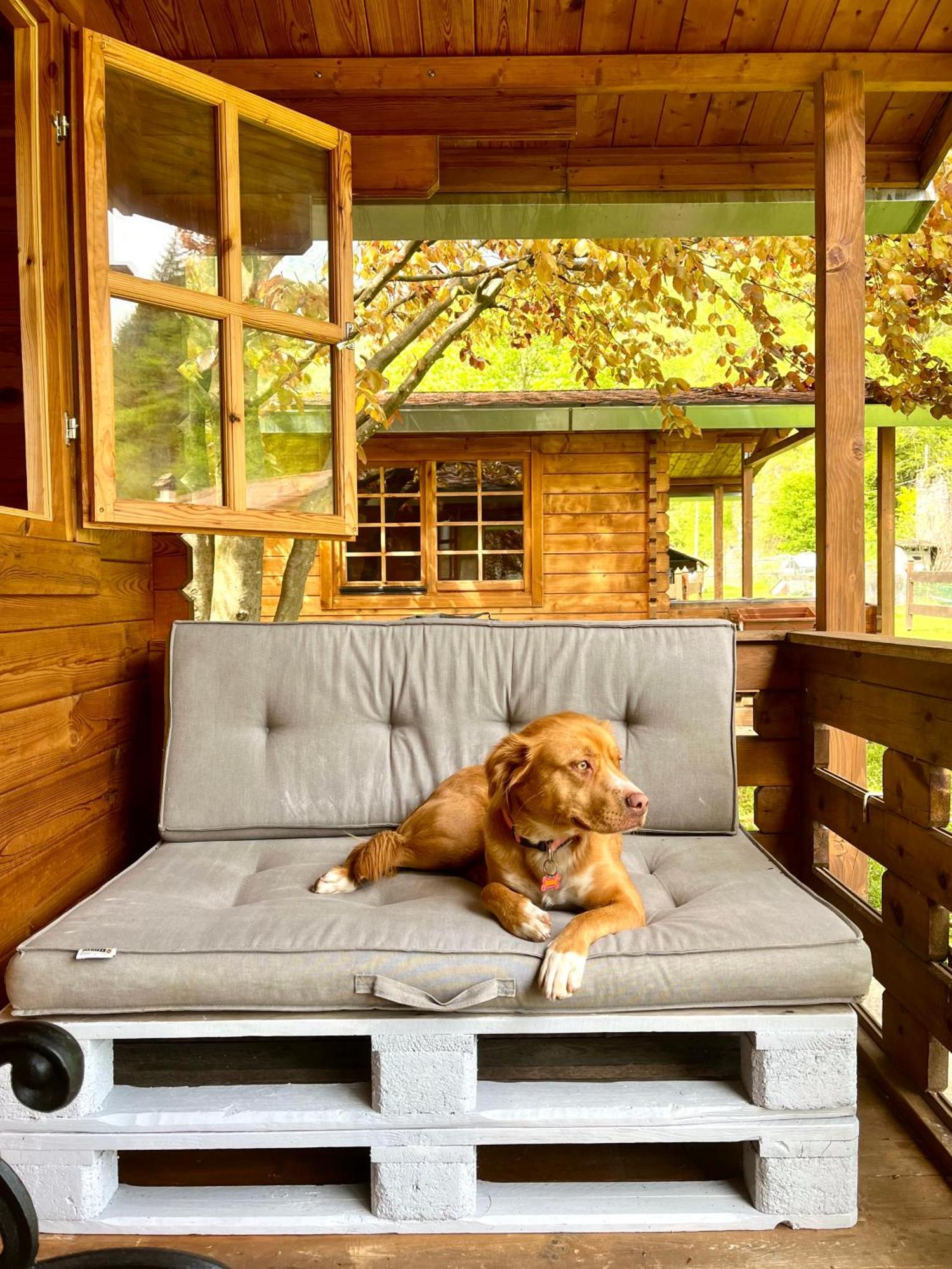 Agriturismo La Vecchia Chioderia Grandola ed Uniti Dış mekan fotoğraf