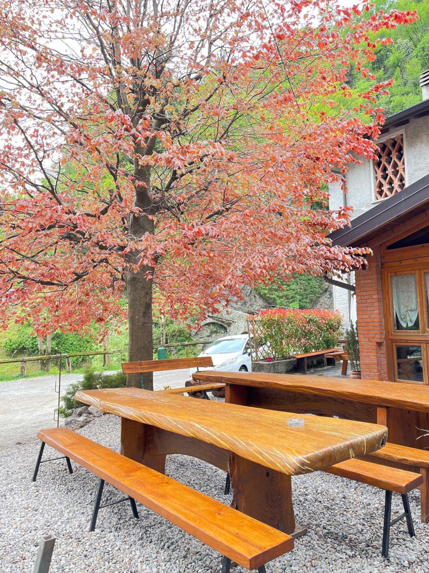 Agriturismo La Vecchia Chioderia Grandola ed Uniti Dış mekan fotoğraf