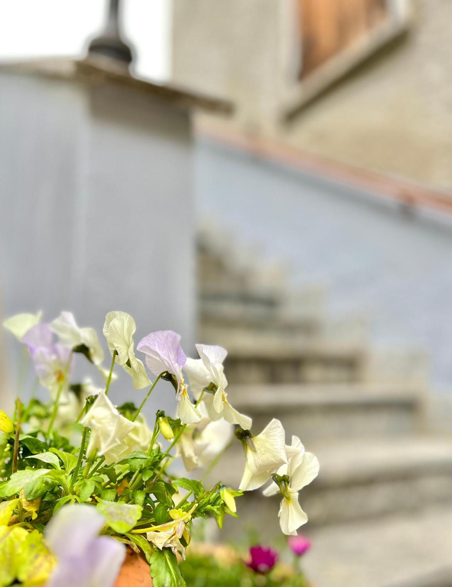 Agriturismo La Vecchia Chioderia Grandola ed Uniti Dış mekan fotoğraf