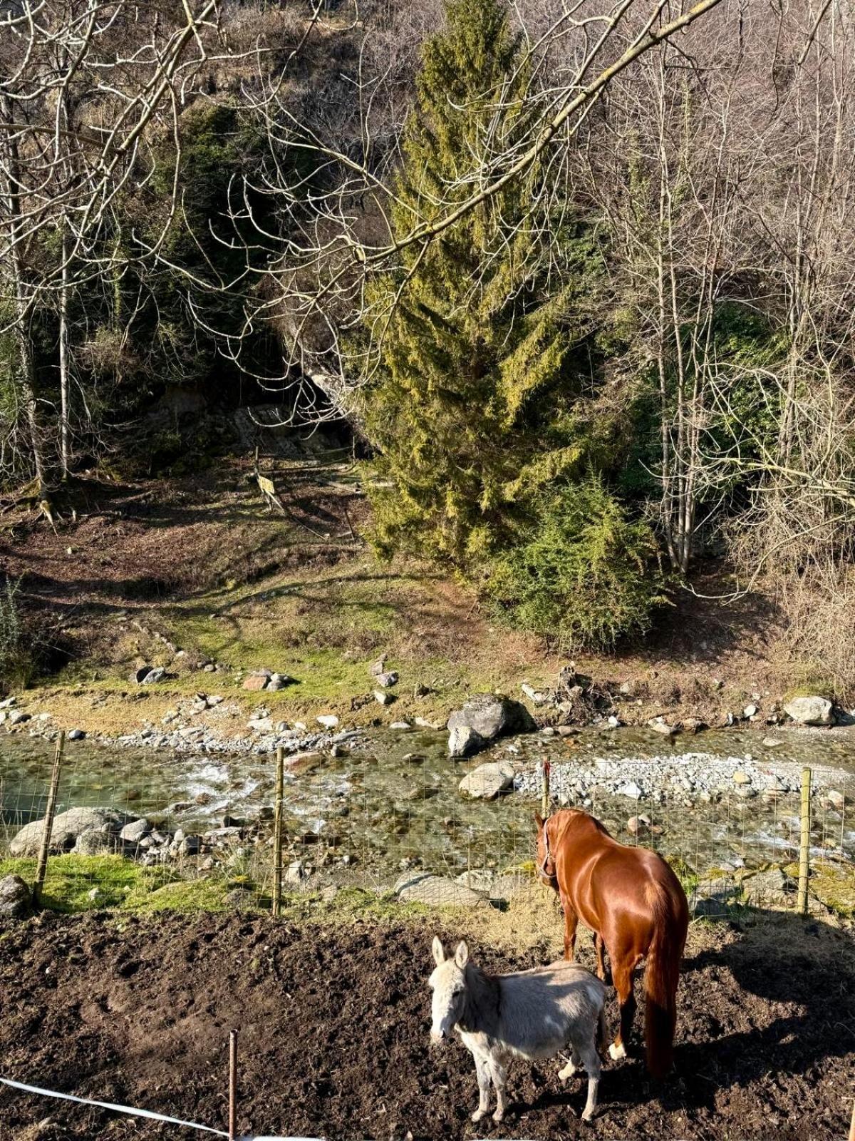 Agriturismo La Vecchia Chioderia Grandola ed Uniti Dış mekan fotoğraf