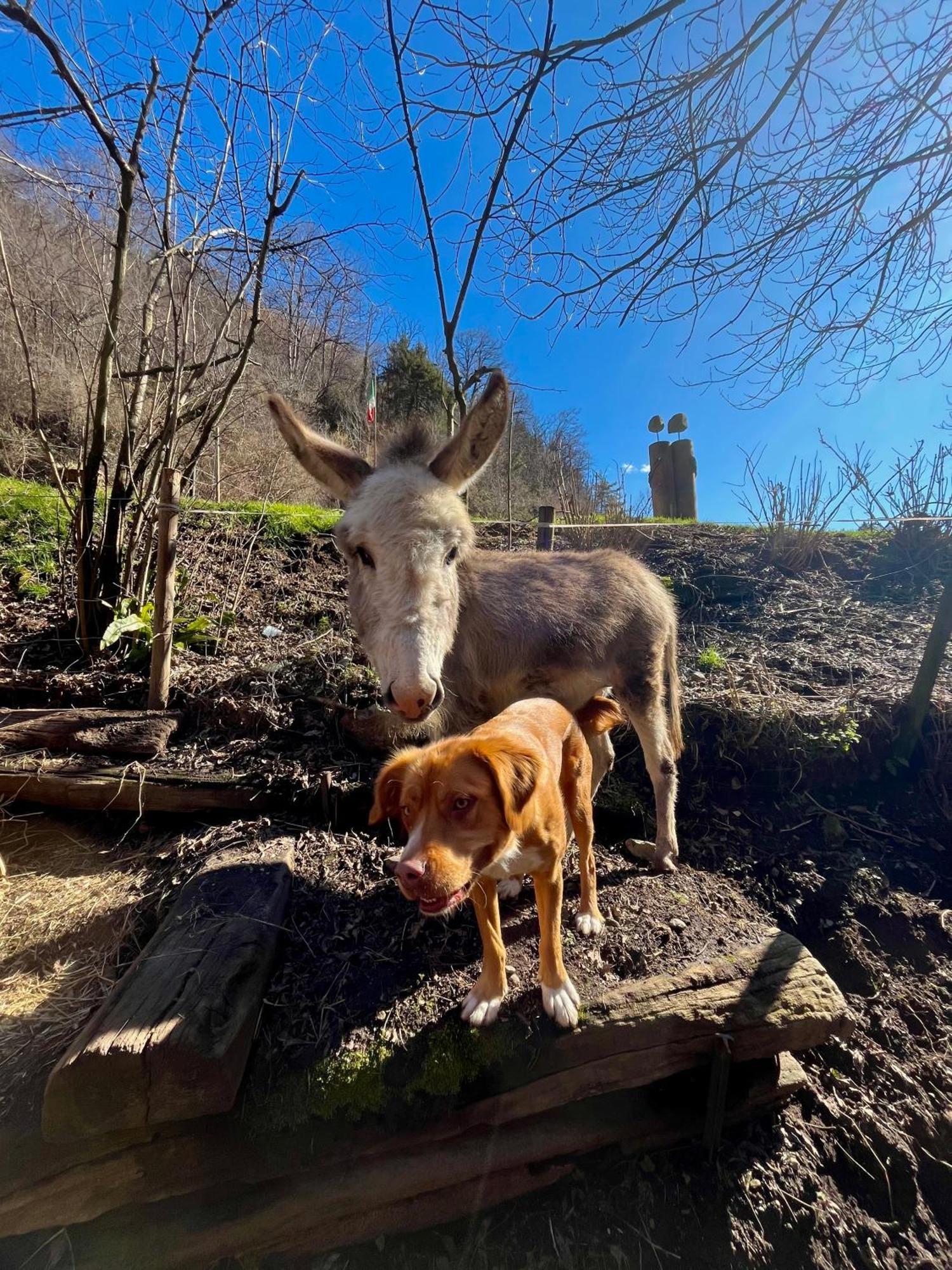 Agriturismo La Vecchia Chioderia Grandola ed Uniti Dış mekan fotoğraf