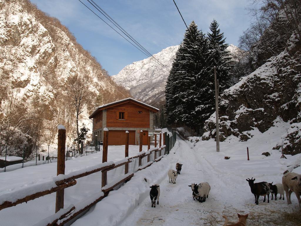 Agriturismo La Vecchia Chioderia Grandola ed Uniti Dış mekan fotoğraf