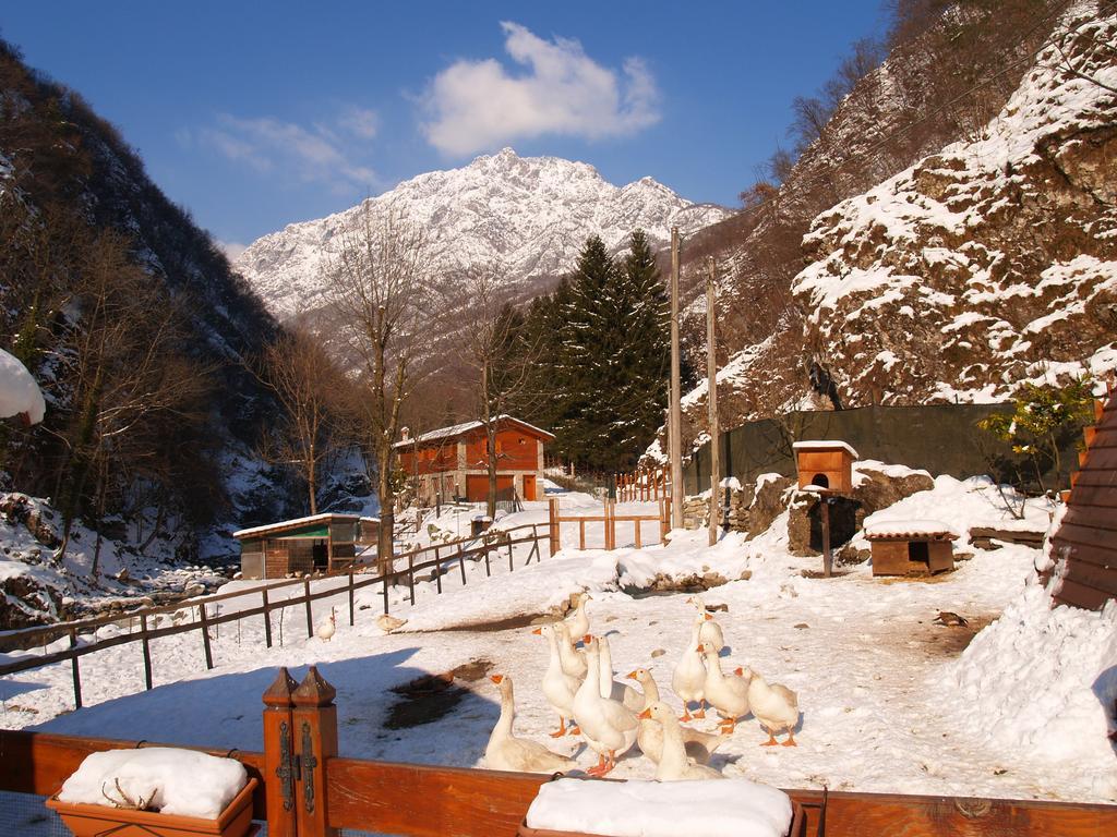 Agriturismo La Vecchia Chioderia Grandola ed Uniti Dış mekan fotoğraf
